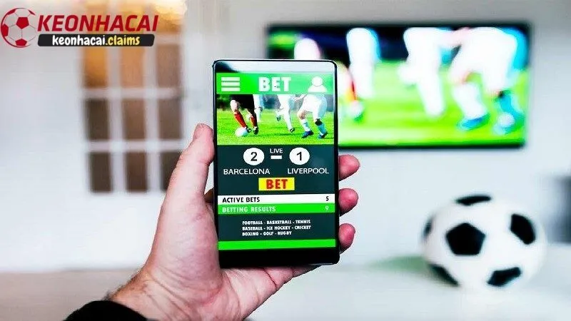 Hướng dẫn xem và hiểu rõ kết quả bóng đá tại kèo nhà cái