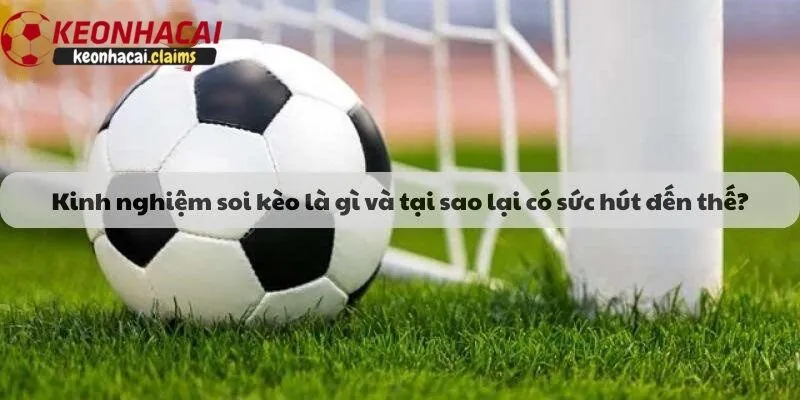 Kinh nghiệm soi kèo hiệu quả từ cao thủ nhà cái