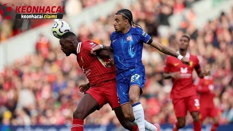 Soi kèo chelsea vs liverpool - Phân Tích Chi Tiết & Dự Đoán Tỷ Số Lịch sử đối đầu của 2 đội Chelsea vs Liverpool trong quá khứ