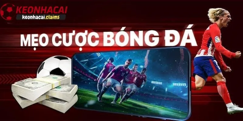 Mẹo soi kèo nhà cái trực tuyến từ chuyên gia