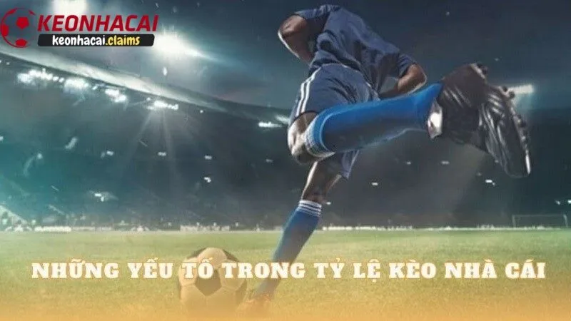 Những yếu tố ảnh hưởng đến tỷ lệ kèo trong cá cược tại kèo nhà cái
